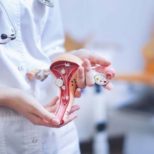 Curso superior de ginecología